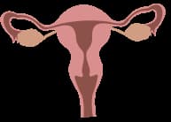 Suspecting PCOS? Here’s everything you need to know!